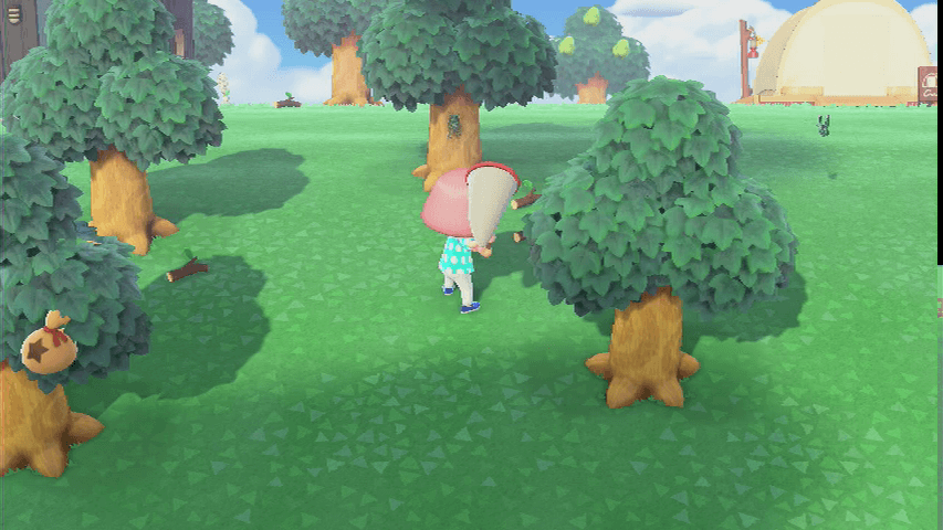 あみを構えてゆっくり近づく