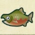 サケの画像