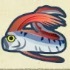 動森攻略:2月活動|2月海洋生物、魚類、昆蟲圖鑑整理(北半球)