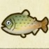 動森攻略:2月活動|2月海洋生物、魚類、昆蟲圖鑑整理(北半球)