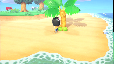 離島で手に入れる