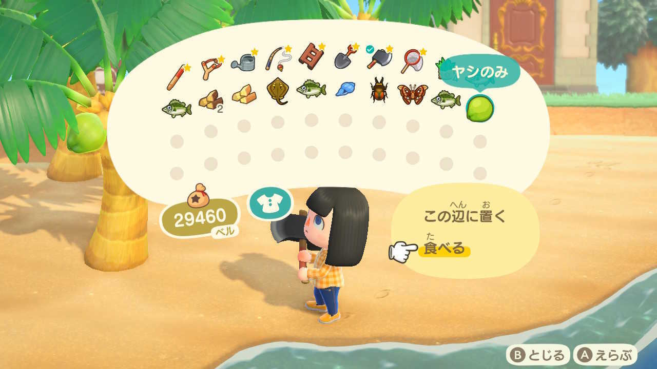 ヤシの実は食べられる