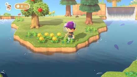 大きい魚のみ釣れる島