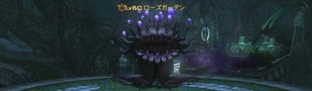 ローズガーデン