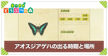 アオスジアゲハの値段と出る時間