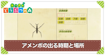 アメンボの値段と出る時間