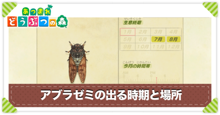 アブラゼミの値段と出る時間