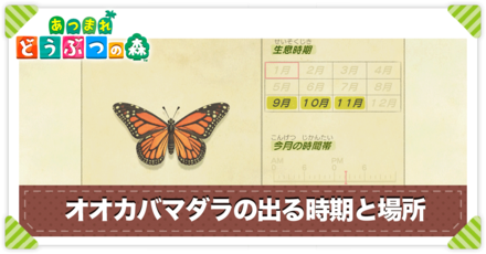 オオカバマダラの値段と出る時間