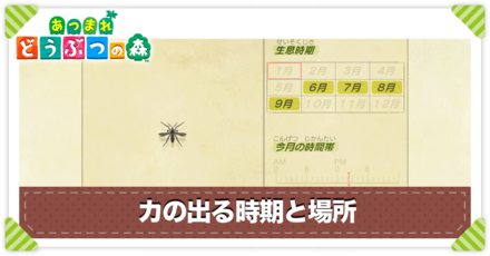 カの値段と出る時間