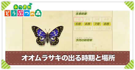 オオムラサキの値段と出る時間