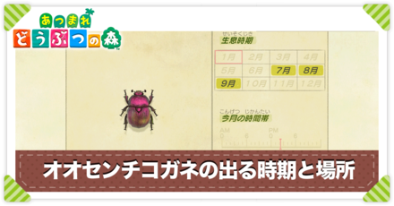 オオセンチコガネの値段と出る時間