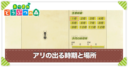 アリの値段と出る時間