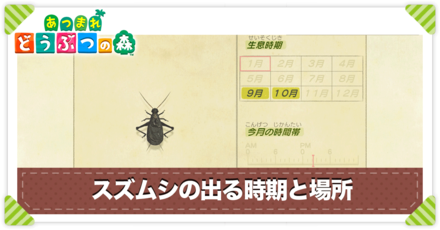 スズムシの値段と出る時間