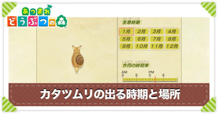 カタツムリの値段と出る時間