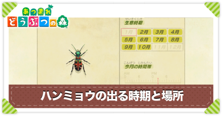 ハンミョウの値段と出る時間