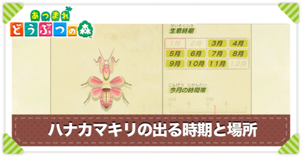 あつ森 ハナカマキリの値段と出る時間 あつまれどうぶつの森 ゲームエイト あつ森 ハナカマキリの値段と出る時間 あつまれどうぶつの森 ゲームエイト