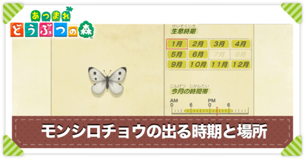 モンシロチョウの値段と出る時間