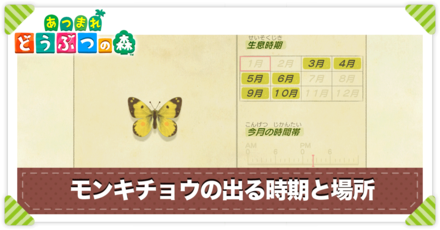 モンキチョウの値段と出る時間