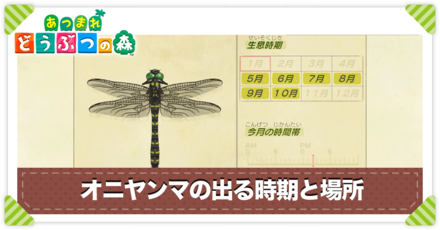 オニヤンマの値段と出る時間