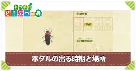 ホタルの値段と出る時間