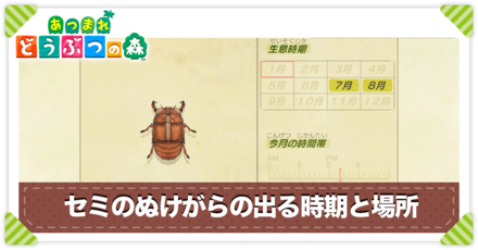 セミのぬけがらの値段と出る時間