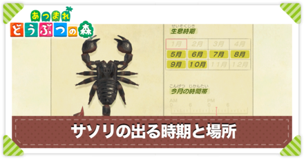 サソリの値段と出る時間