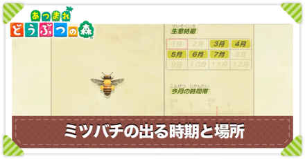 ミツバチの値段と出る時間