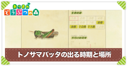 トノサマバッタの値段と出る時間