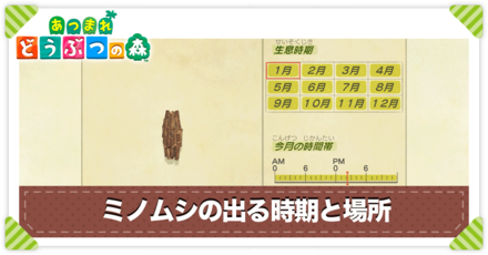 ミノムシの値段と出る時間