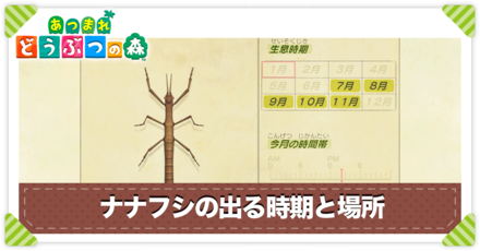 ナナフシの値段と出る時間