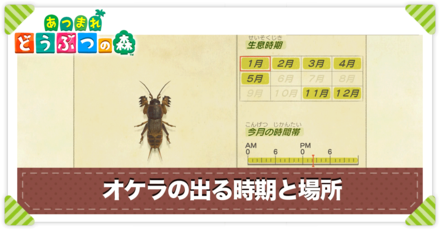 オケラの値段と出る時間