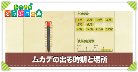 ムカデの値段と出る時間