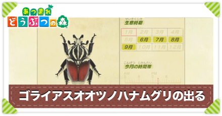 ゴライアスオオツノハナムグリ標本格安にしました Amazon.co.jp: ゴライアスオオツノハナムグリ 標本 : おもちゃ