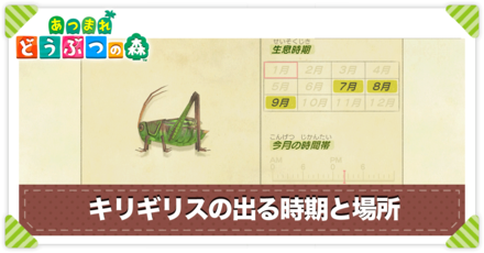 キリギリスの値段と出る時間