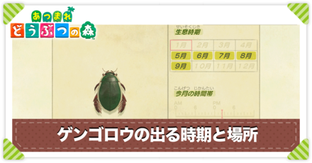 ゲンゴロウの値段と出る時間