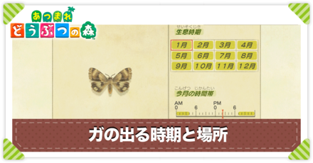 ガの値段と出る時間