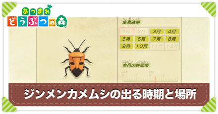 ジンメンカメムシの値段と出る時間