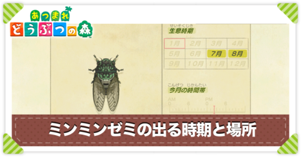 ミンミンゼミの値段と出る時間