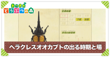 ヘラクレスオオカブトの値段と出る時間