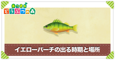 イエローパーチの値段と出る時間