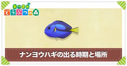 あつ森 ナンヨウハギの値段と出る時間 あつまれどうぶつの森 ゲームエイト