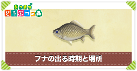 フナの値段と出る時間