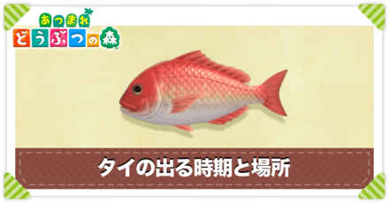 タイの値段と出る時間