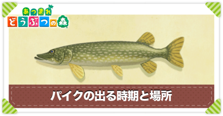 パイクの値段と出る時間