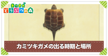 カミツキガメの値段と出る時間