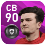 FPハリー・マグワイア(3/30)の画像