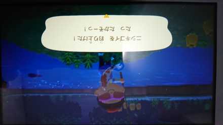 コメント画像