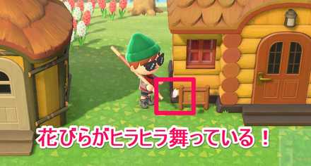 花びらがヒラヒラ舞っている