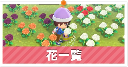 あつ森 花の種類一覧と入手方法 あつまれどうぶつの森 ゲームエイト