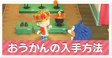 おうかんの入手方法